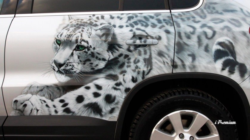 Винилография Тигуан