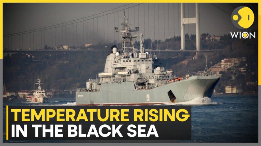 Бдк цезарь куников