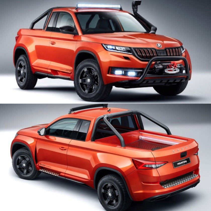 Skoda pick up 2019