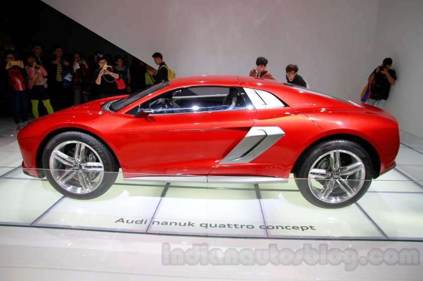 Audi Nanuk