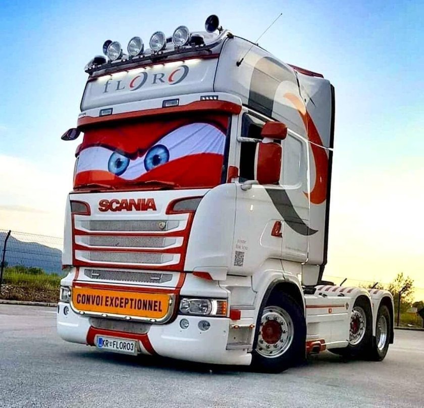 Занавески для грузовиков с глазами