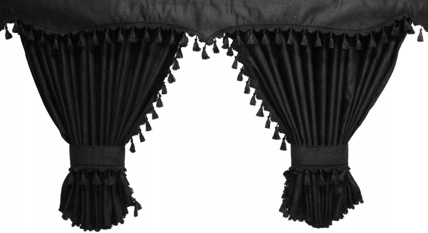 Шторки на ман ТГС