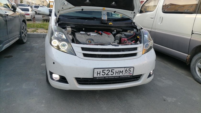 Линзы Тойота Виш