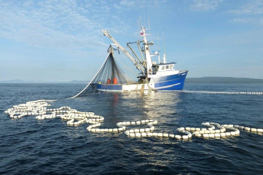 Кошельковый невод