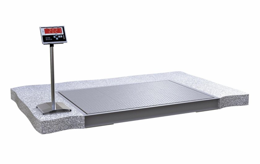 Весы Скейл СКП 1010