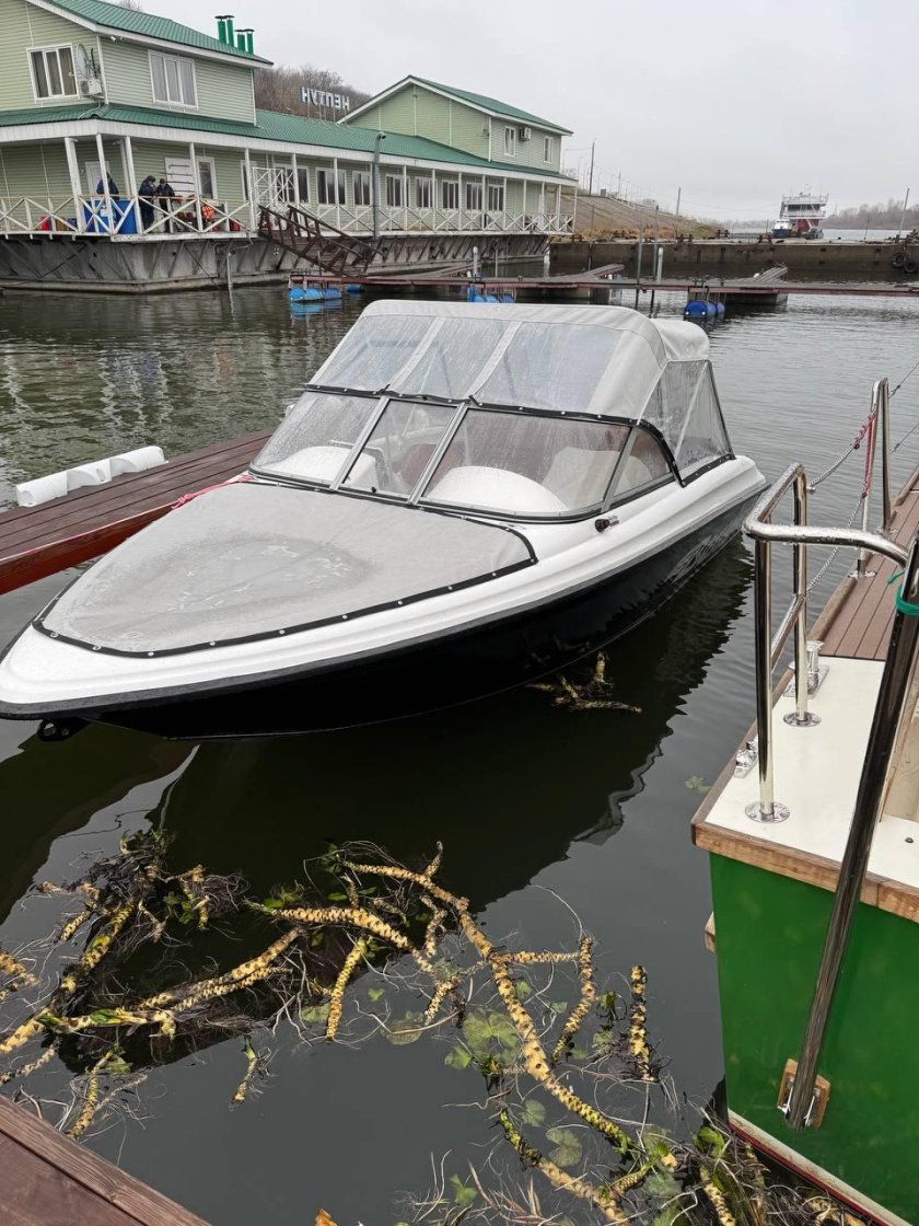 Катер phoenix 560