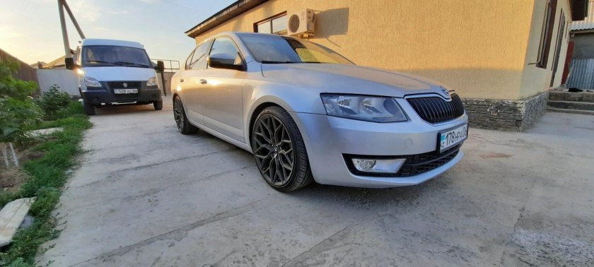 Skoda Octavia r19
