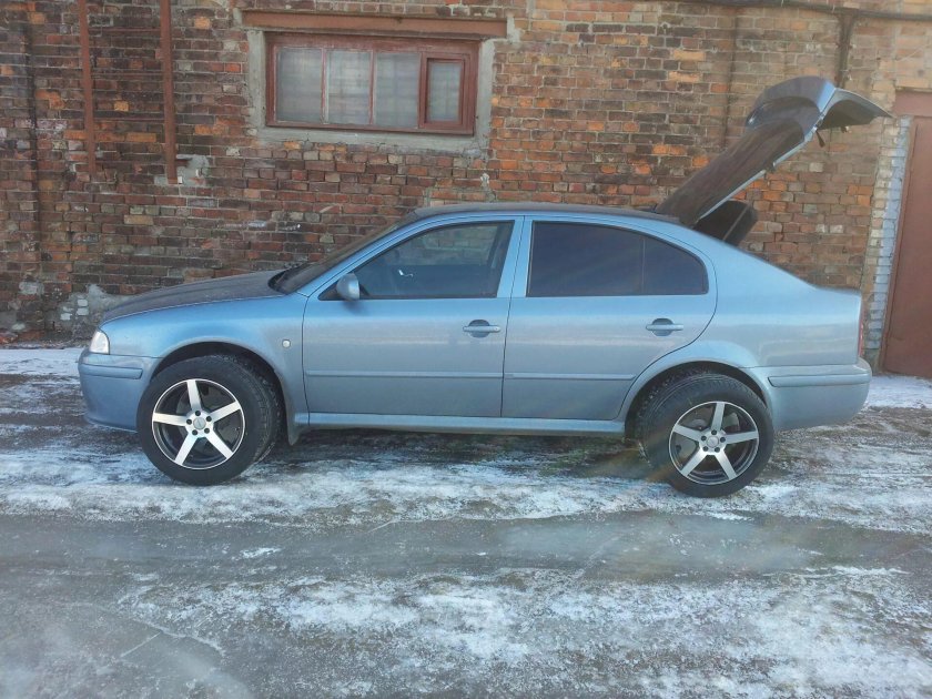 Р 17 205 55 Шкода Октавия тур