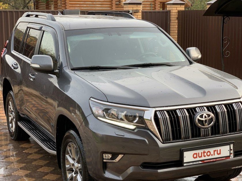 Прадик серый