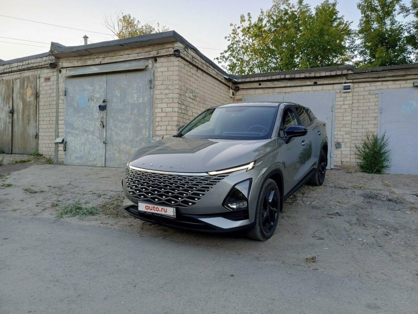 Серая омода