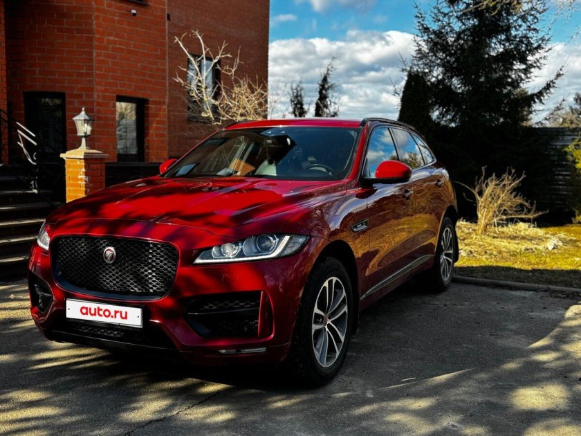 Красный ягуар