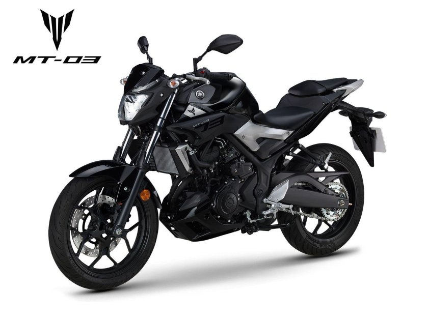 Yamaha 660 MT-03