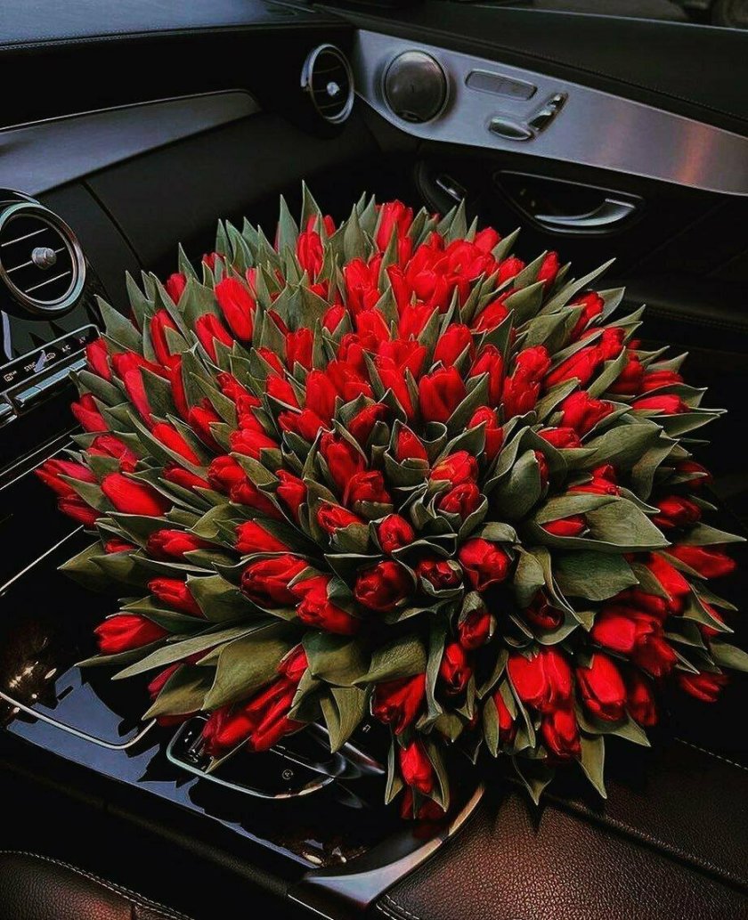 Огненный тюльпан