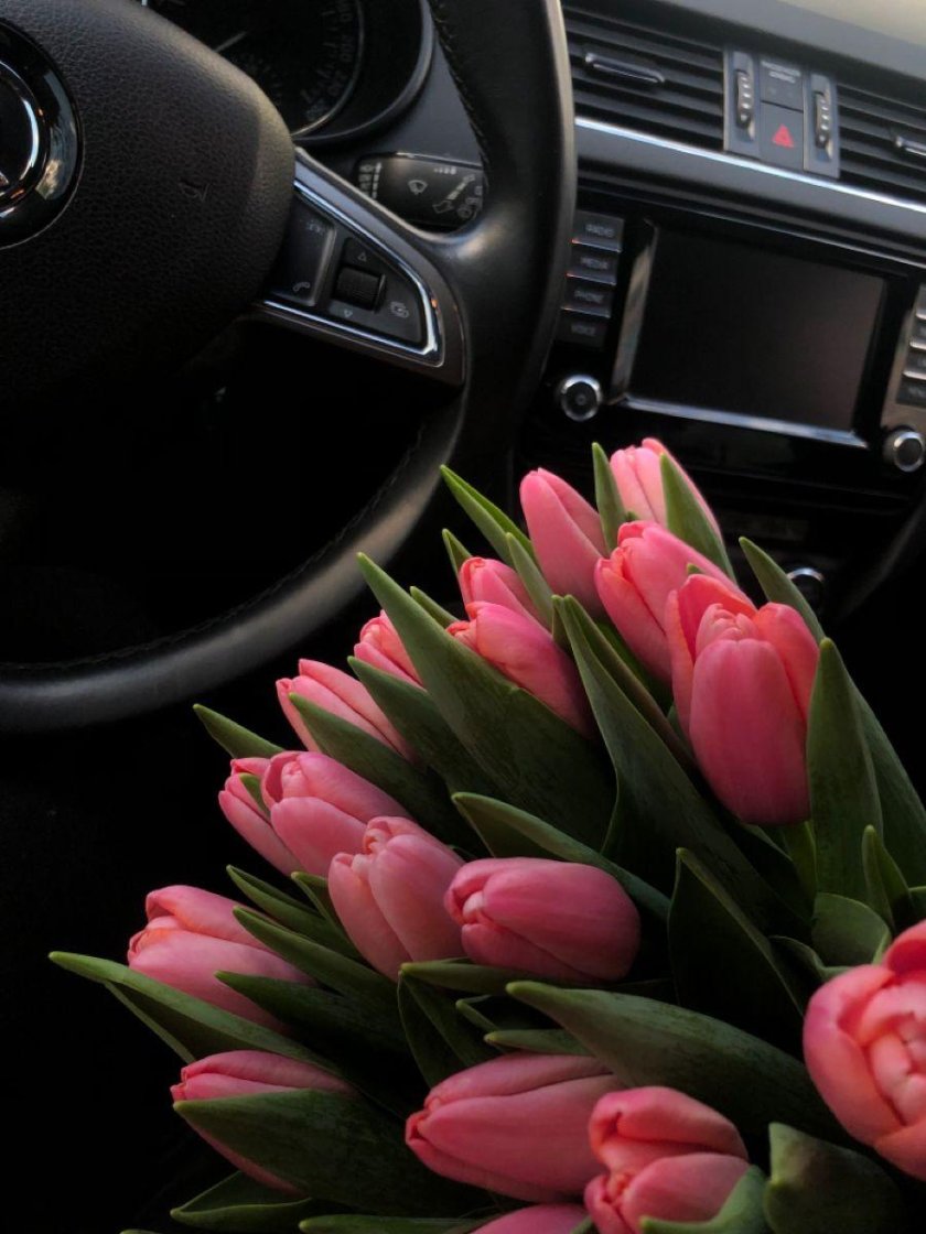 Тюльпаны в машине