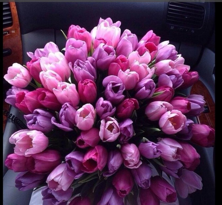 Шикарный букет тюльпанов