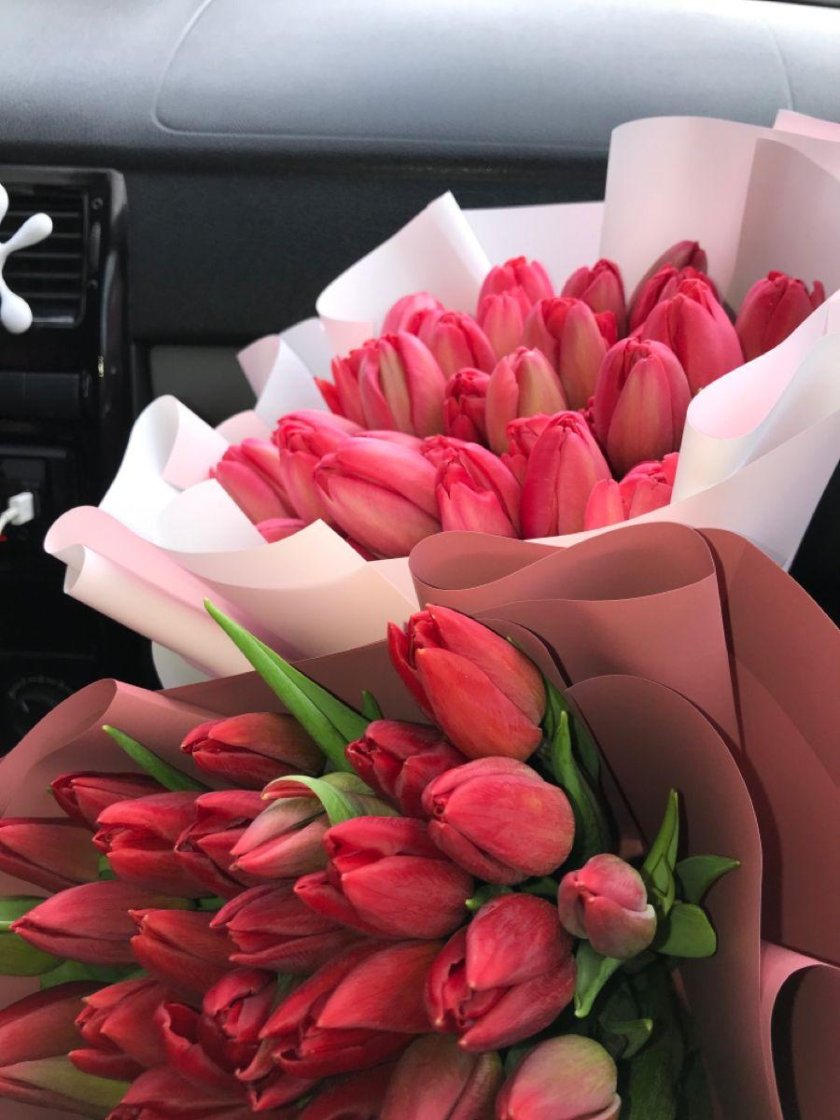 Тюльпаны к 8 марта