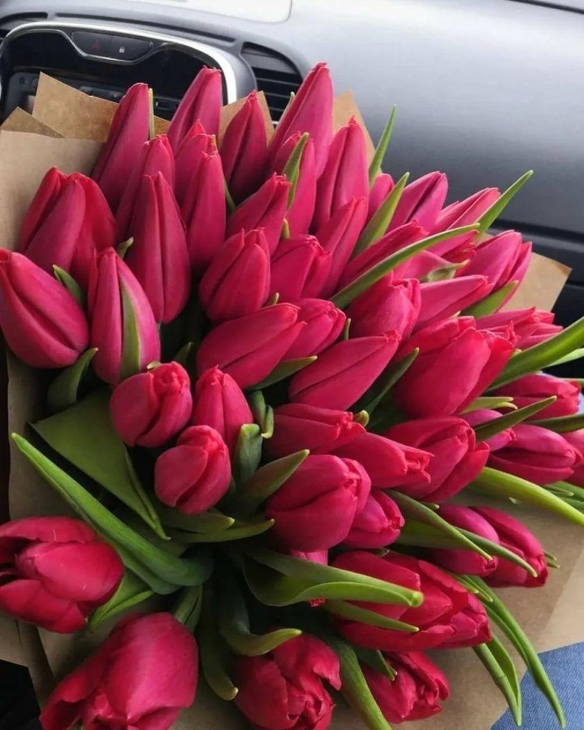 Тюльпан стронг лав