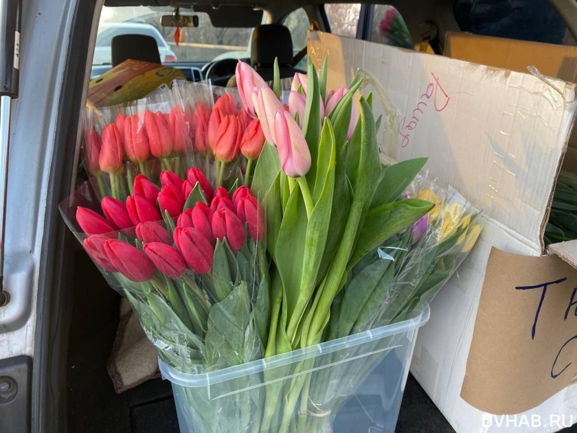 Букет тюльпанов
