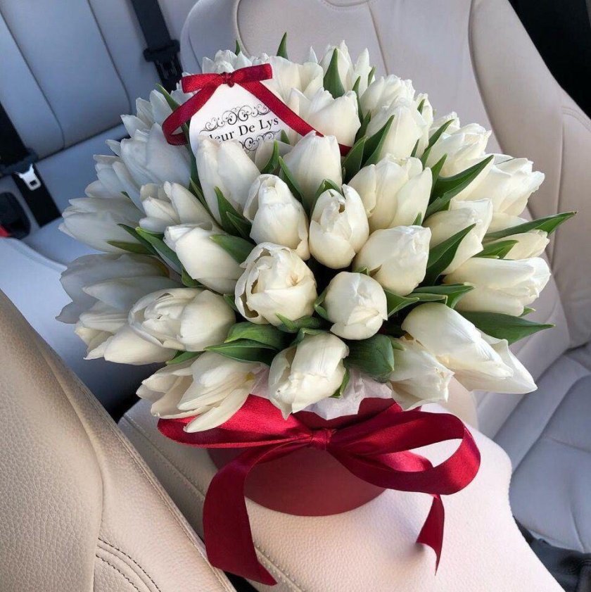 Белые тюльпаны