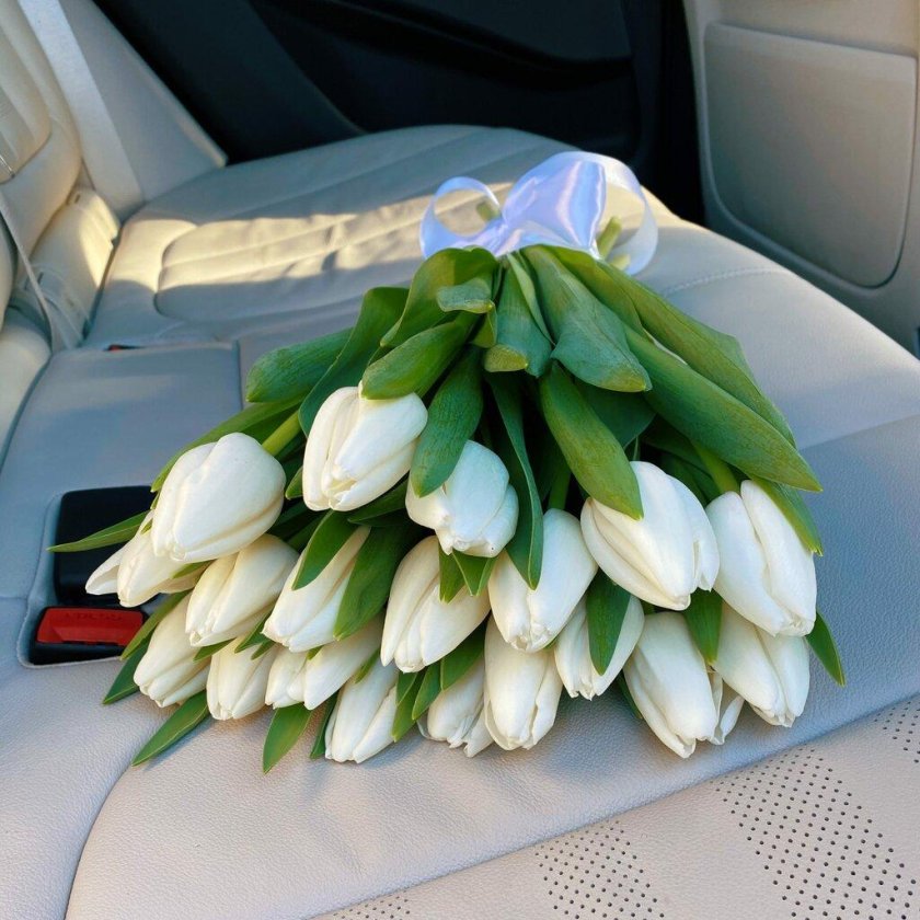 Мраморные тюльпаны