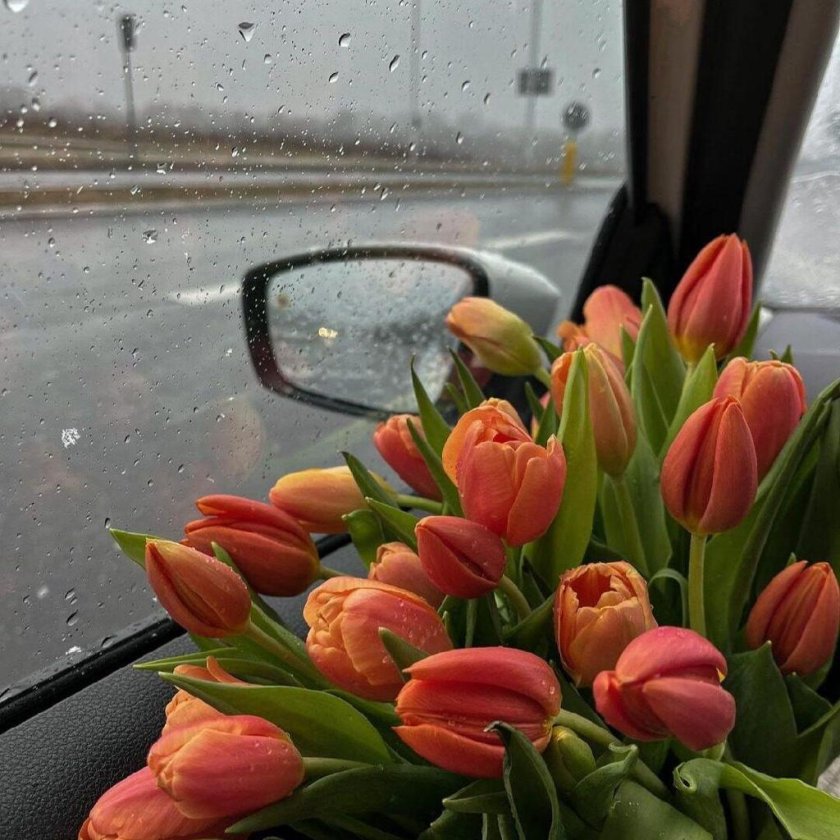 Все распогодится и за окном и в жизни и в душе картинки