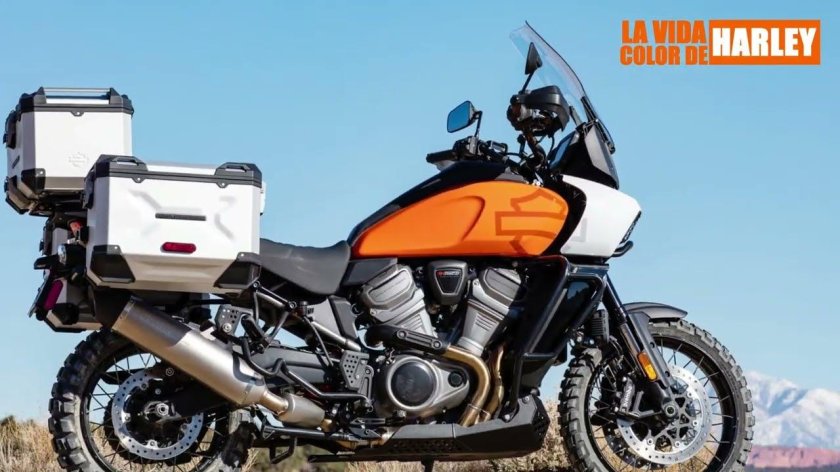 Харлей Пан Америка 2021