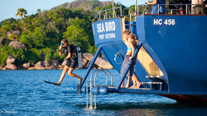 Сейшельские острова дайвинг