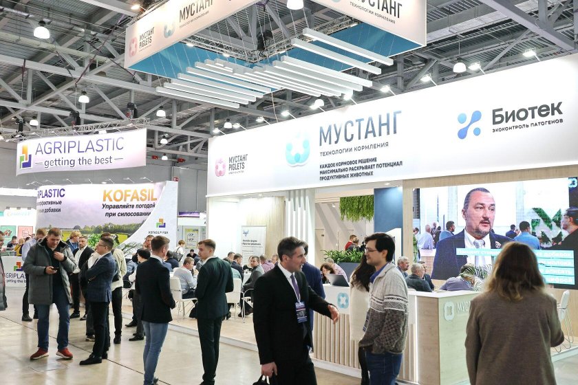 Мустанг технологии кормления