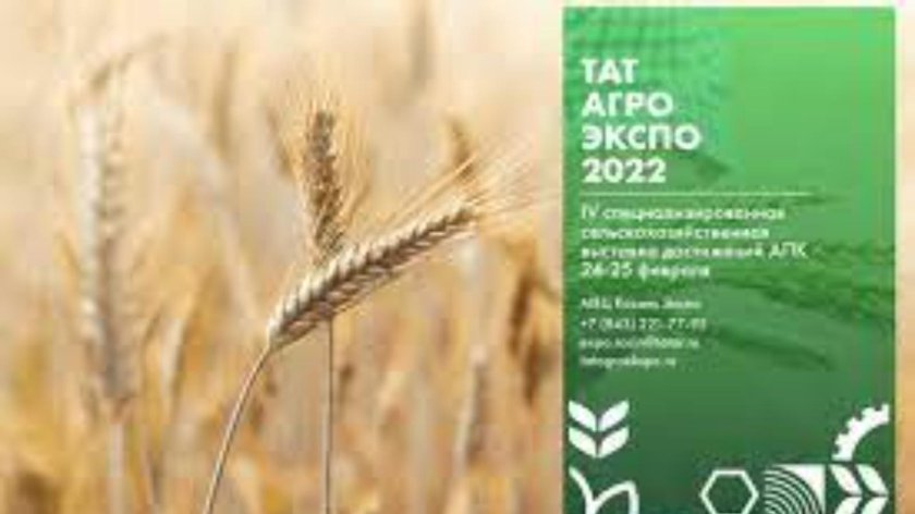 Выставка ТАТАГРОЭКСПО 2022