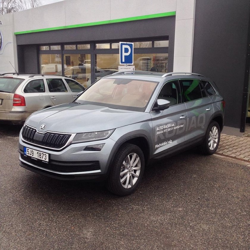 Шкода Кодиак серебристый