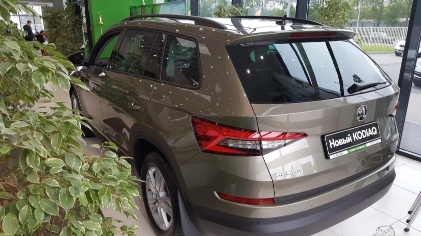 Шкода Карок капучино