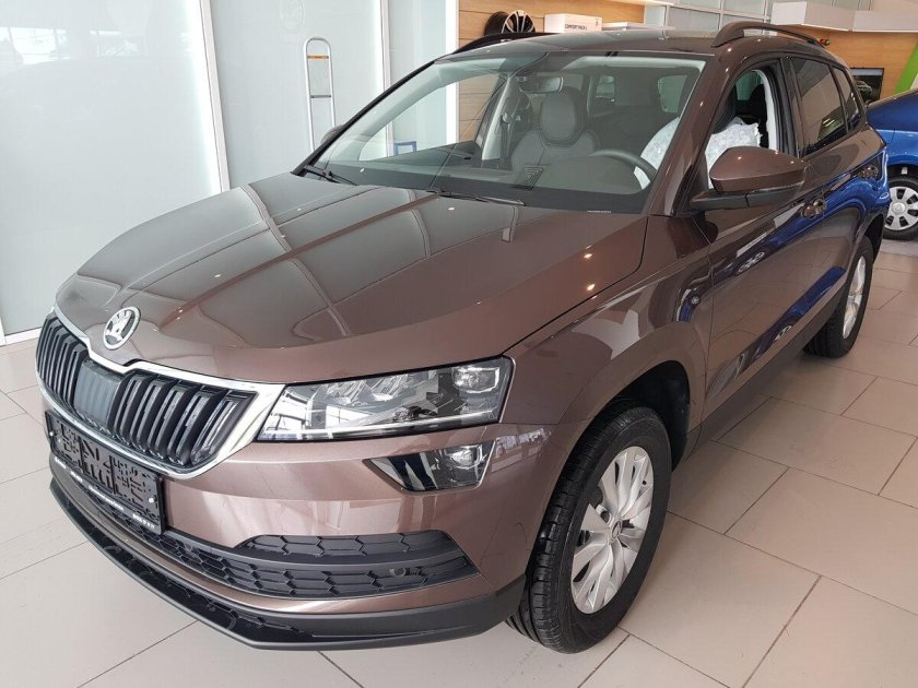 Шкода коричневая