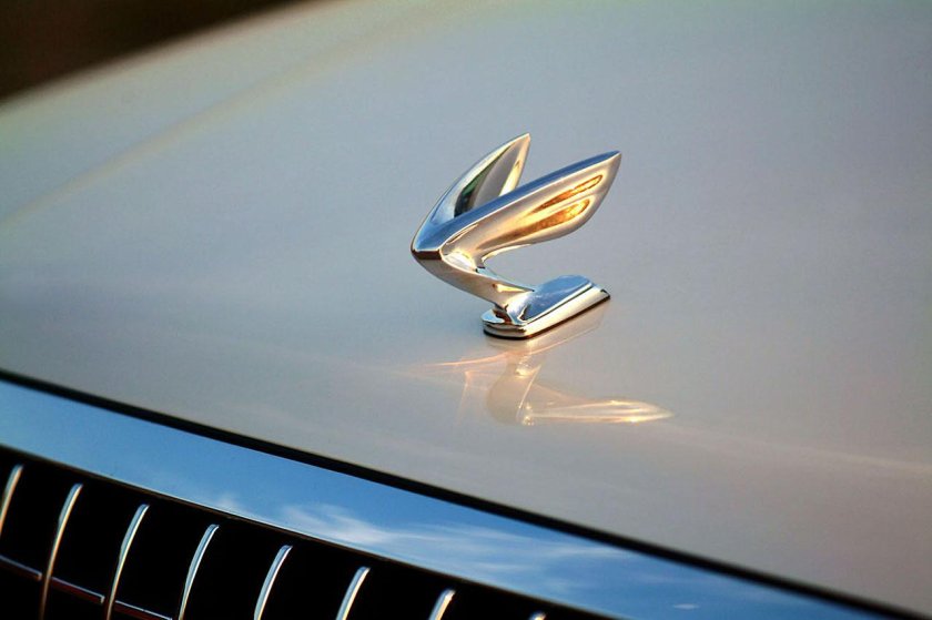 Hyundai Equus с птичкой на капоте