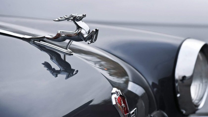 Волга ГАЗ 21 олень на капоте