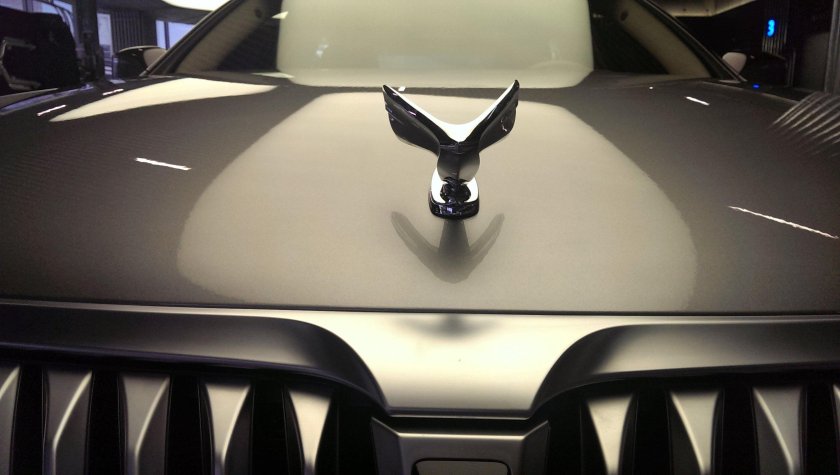 Hyundai Equus с птичкой на капоте