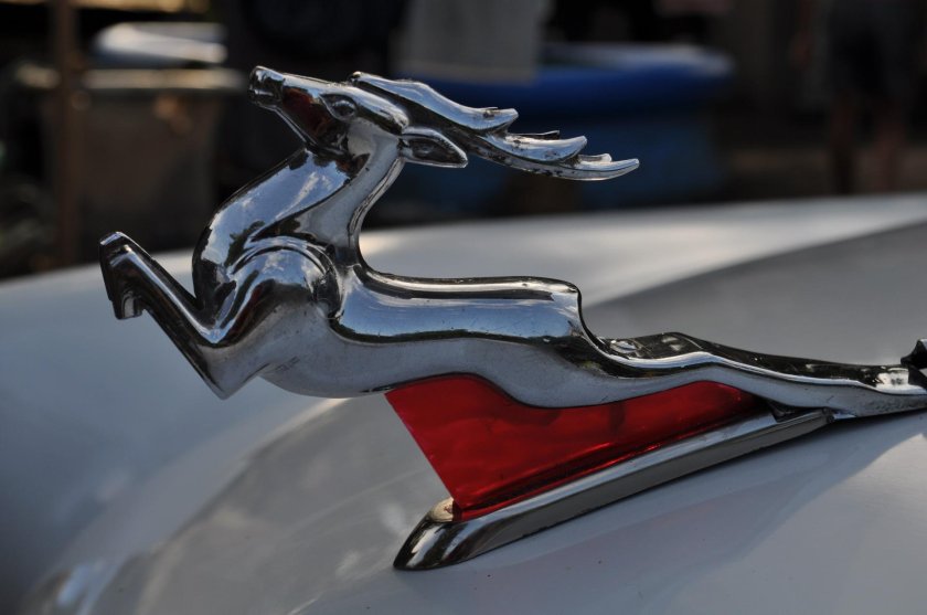 Олень на Волге ГАЗ 21