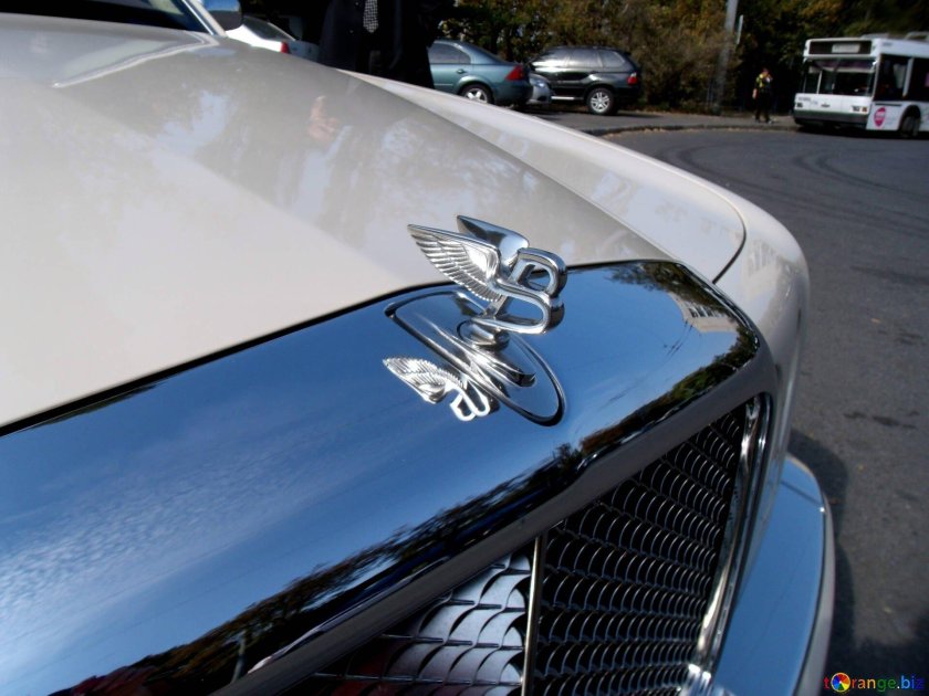 Значки на капоте автомобилей