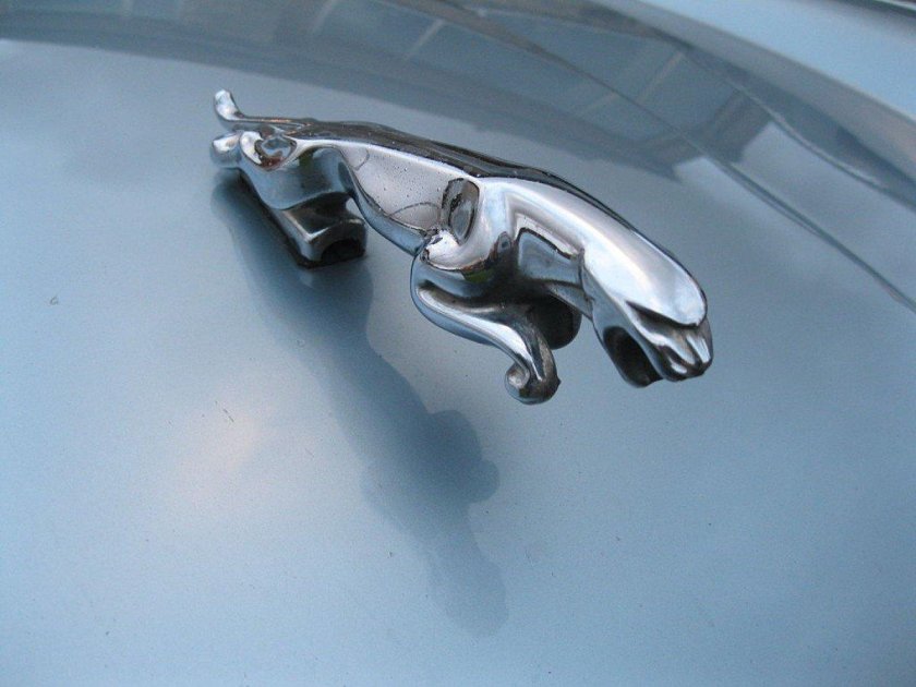 Значок ГАЗ на капот Волга 31105