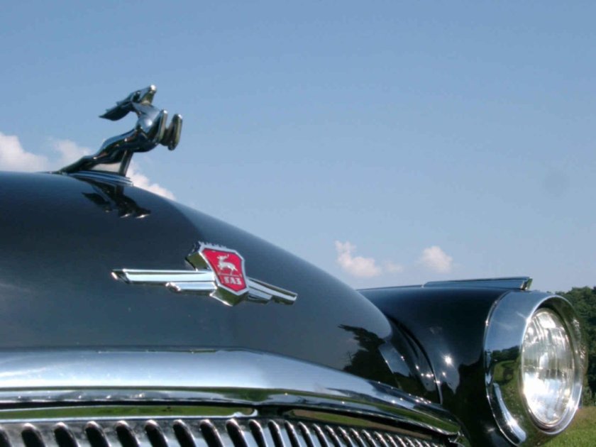 Волга ГАЗ 21 олень на капоте