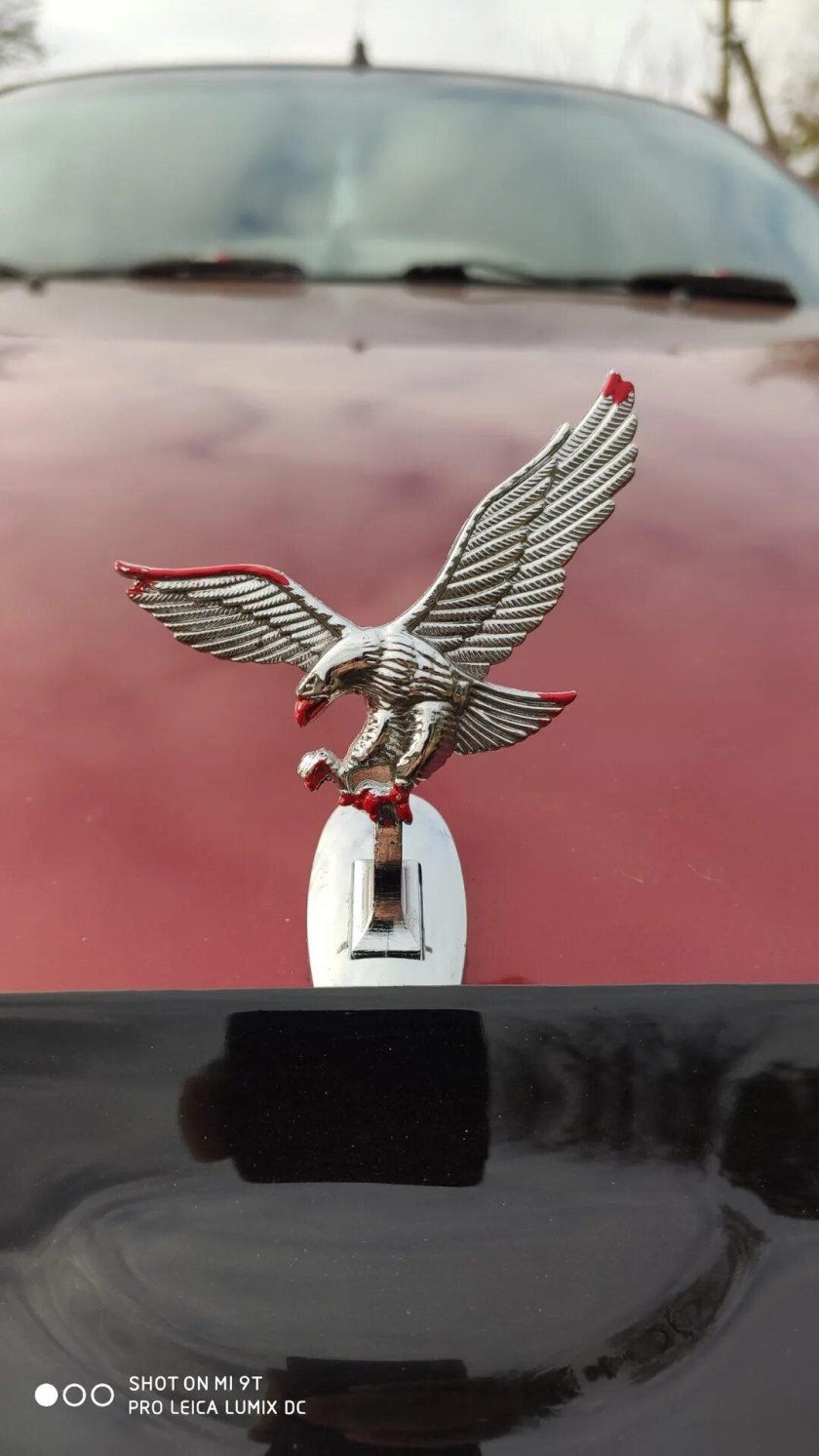 Hyundai Equus с птичкой на капоте