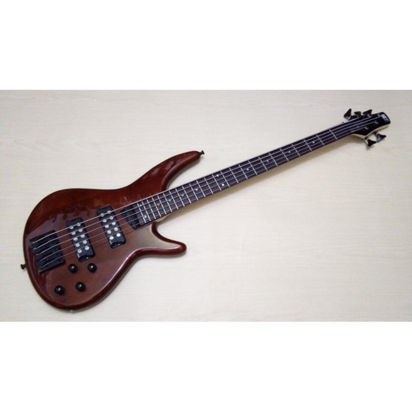 Ibanez SDGR Bass