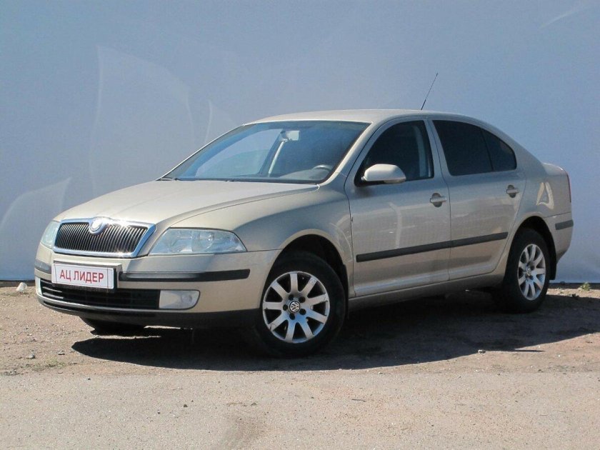 Машину Skoda 2005 года выпуска