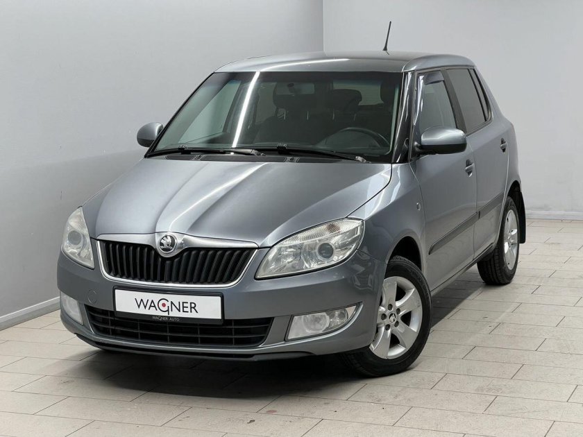 Шкода фабия 2012 год серый