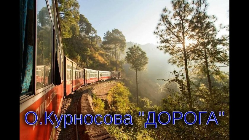 Ойта, Япония лес поезд