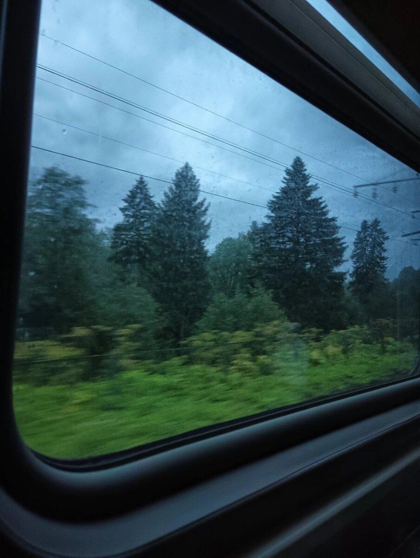 Вид из поезда