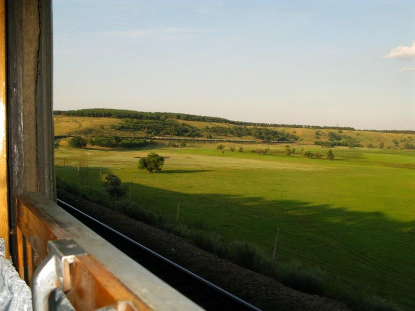 Вид из окна поезда летом