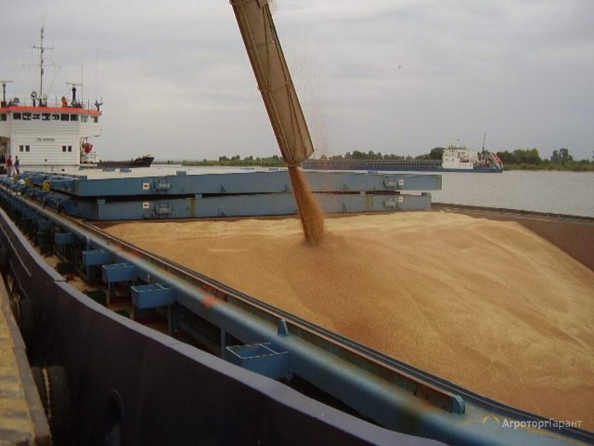 Зерновозы перегруз