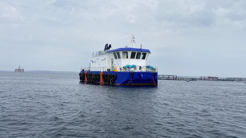 Multicat vessel offshore