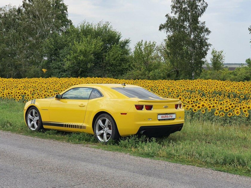 Chevrolet camaro v