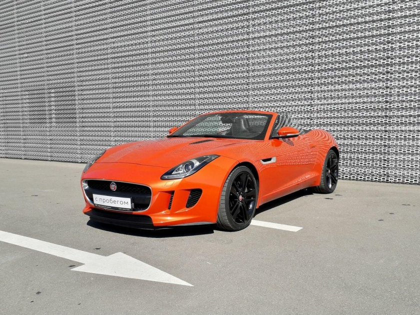 Ягуар оранжевый